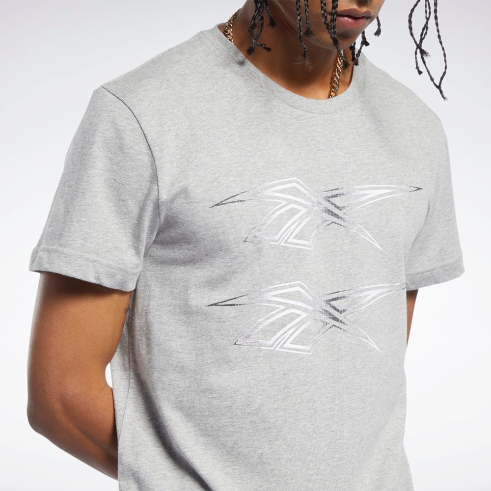 Reebok Classics Grafisk Tee Grå | WSA637254