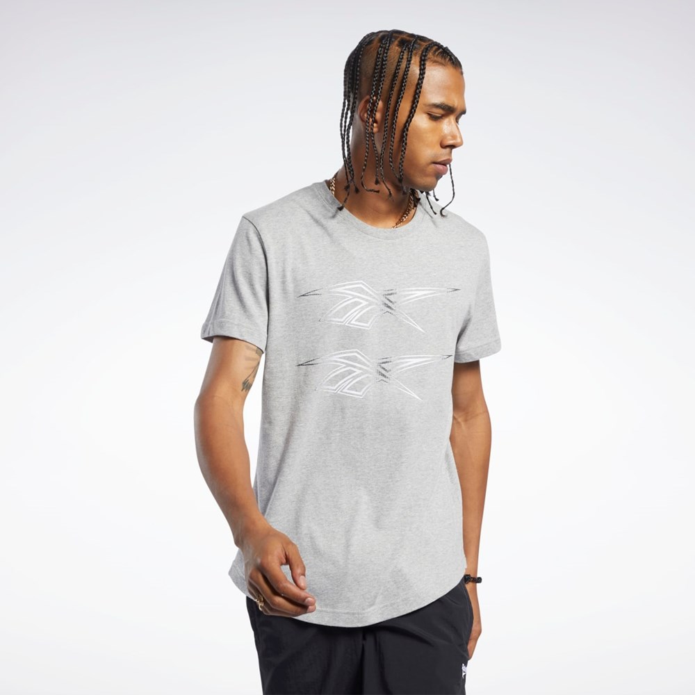 Reebok Classics Grafisk Tee Grå | WSA637254