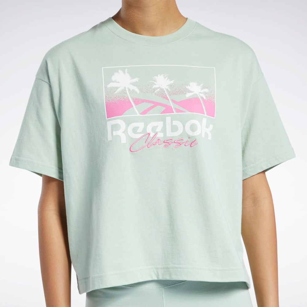 Reebok Classics Summer Grafisk T-Shirt Lyse | EKH637940