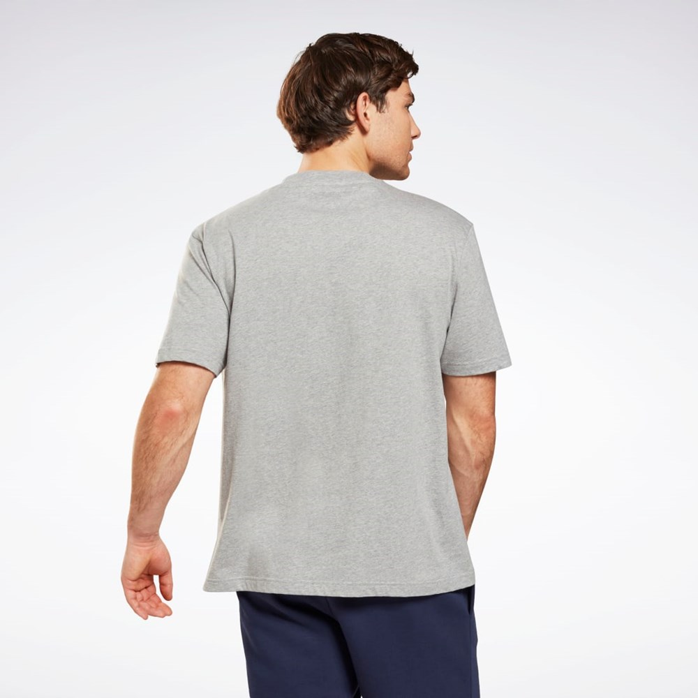 Reebok Grafisk Series T-Shirt Grå | MVC435726