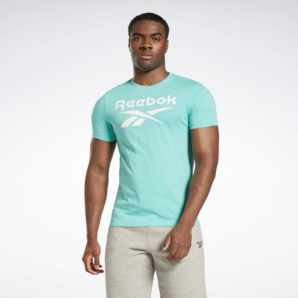 Reebok Reebok Identity Big Logo T-Shirt Semi Classic Teal | HJM241089