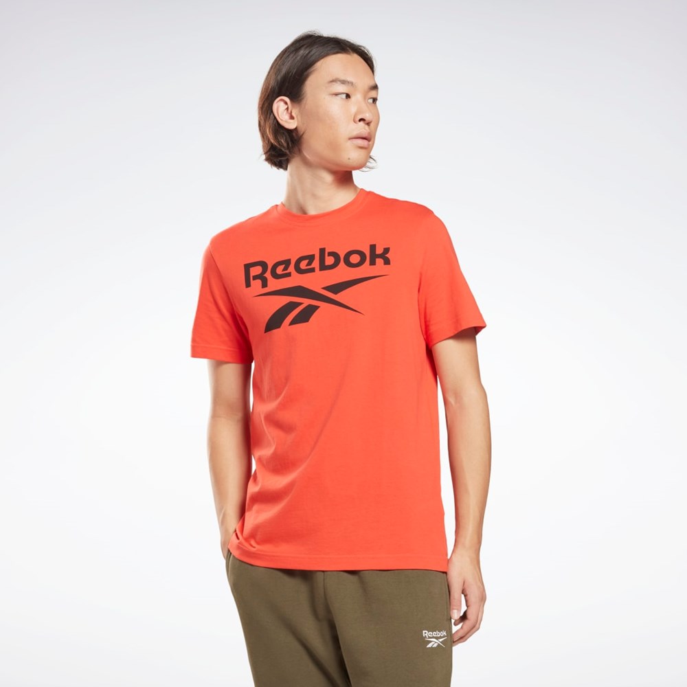 Reebok Reebok Identity Big Logo T-Shirt Rød | YRJ038529