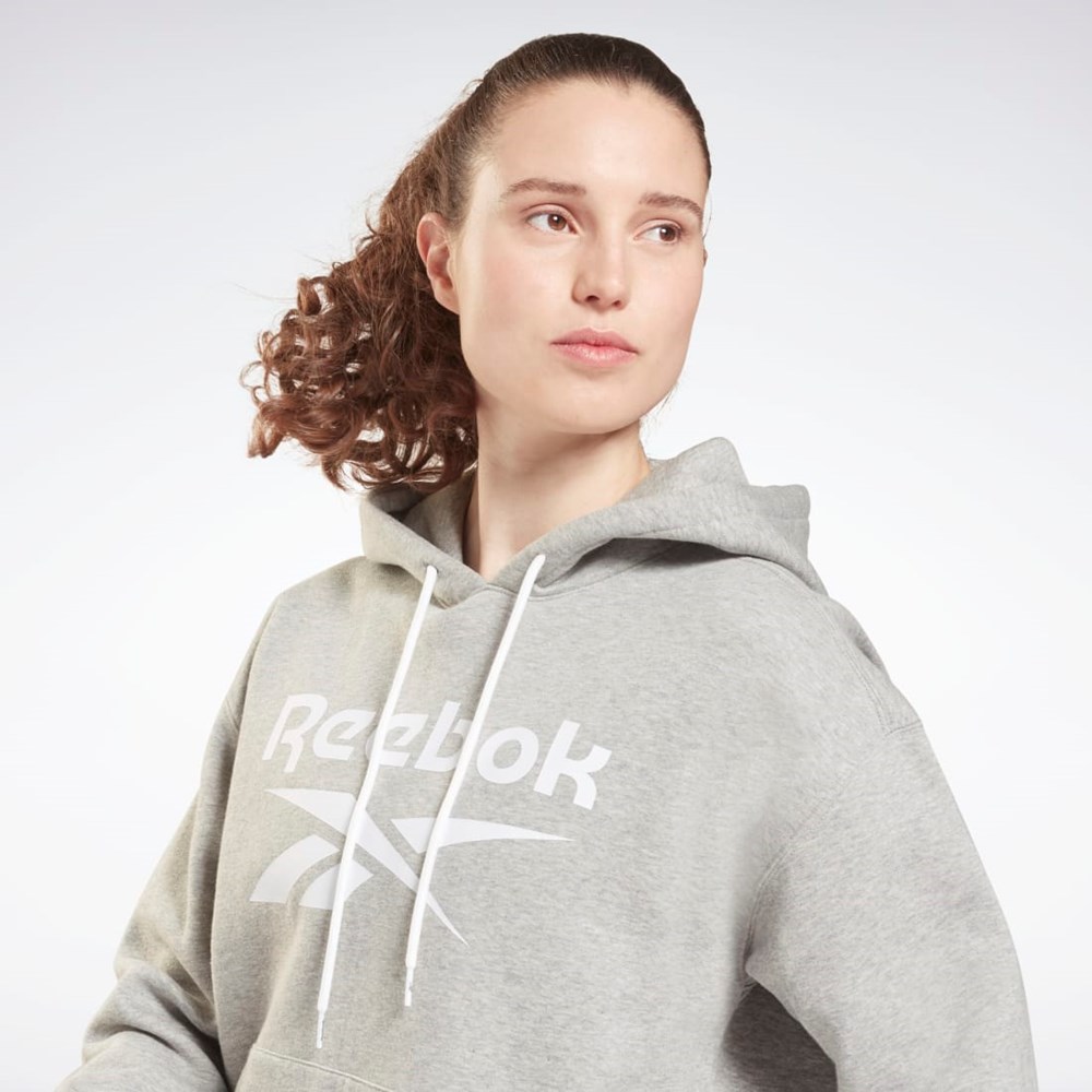 Reebok Reebok Identity Logo Fleece Pullover Hoodie Grå | EKG637528