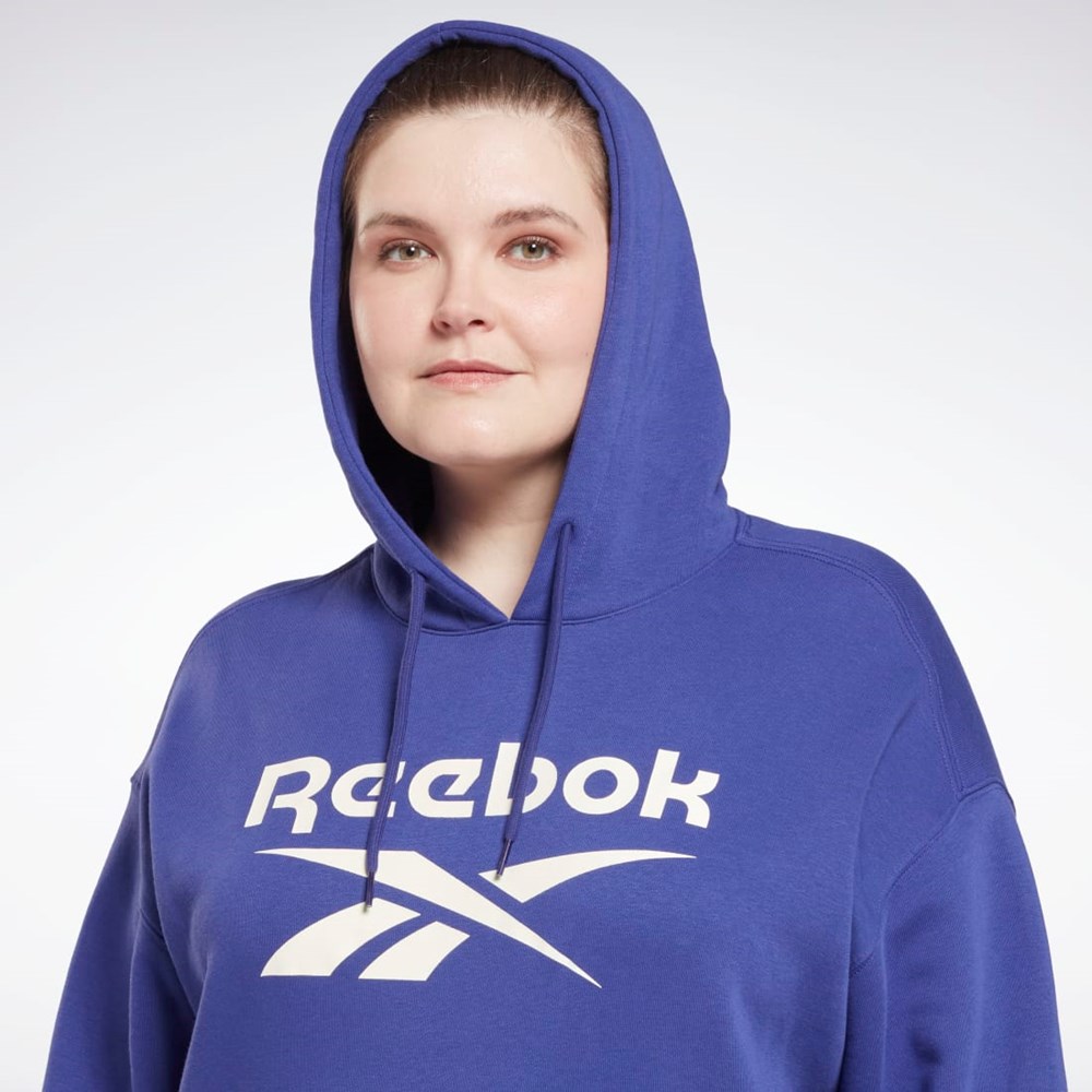 Reebok Reebok Identity Logo Fleece Pullover Hoodie (Plus Size) Lilla | QBE438617