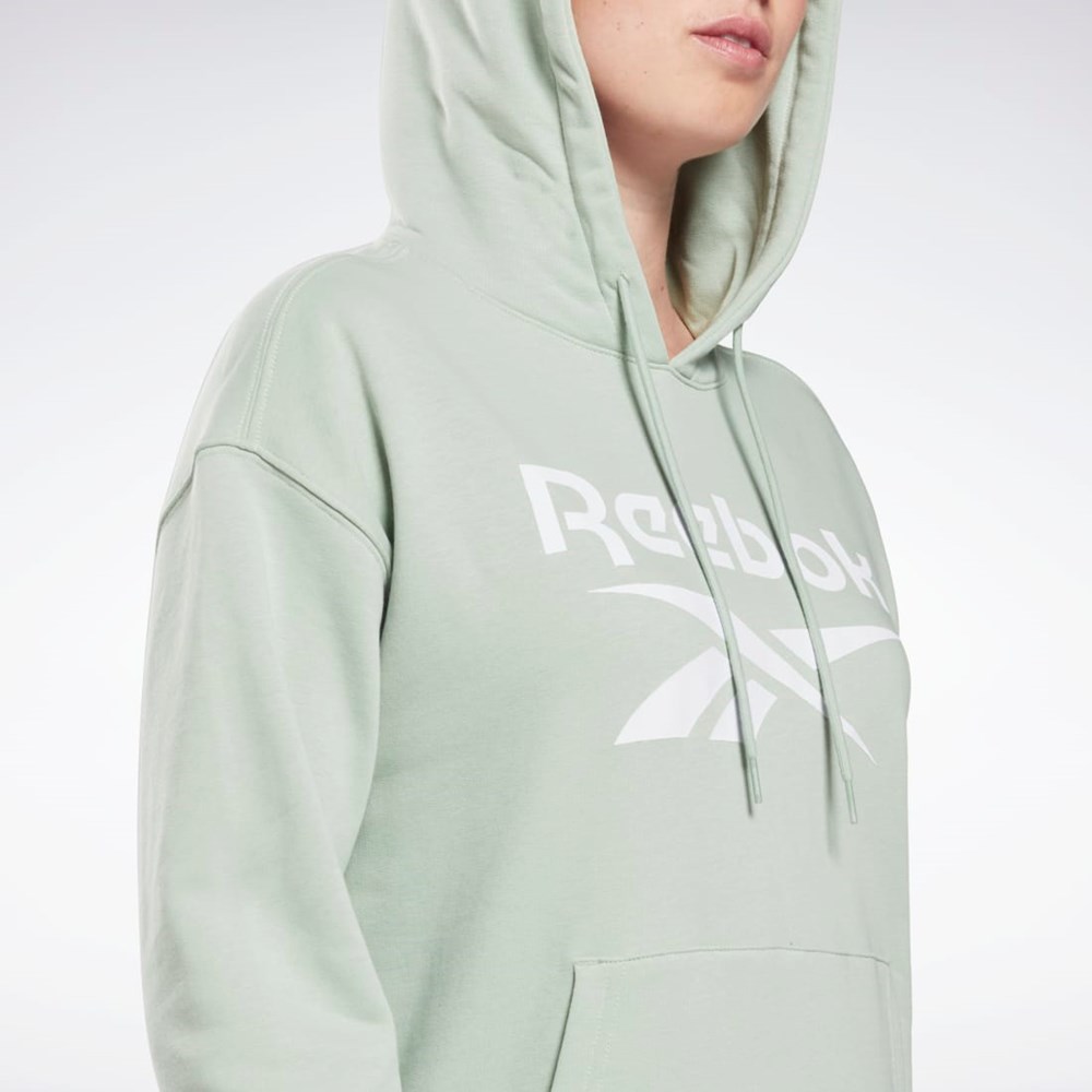 Reebok Reebok Identity Logo French Terry Hoodie Lyse | JCF457981