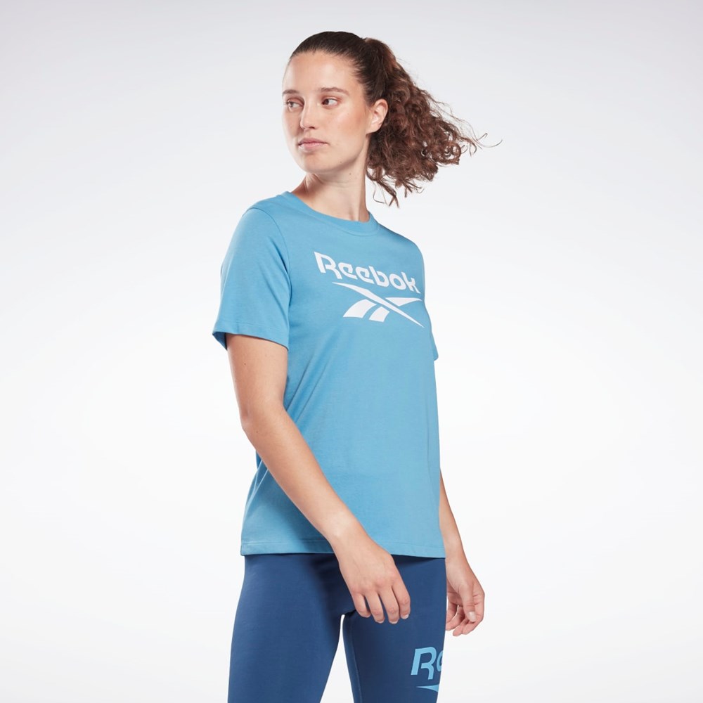 Reebok Reebok Identity T-Shirt Blå | MVL917652