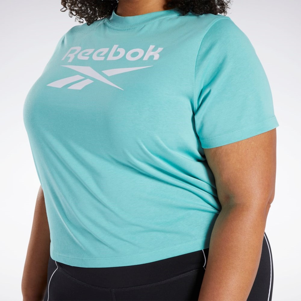 Reebok Reebok Identity T-Shirt (Plus Size) Semi Classic Teal | TCZ764205