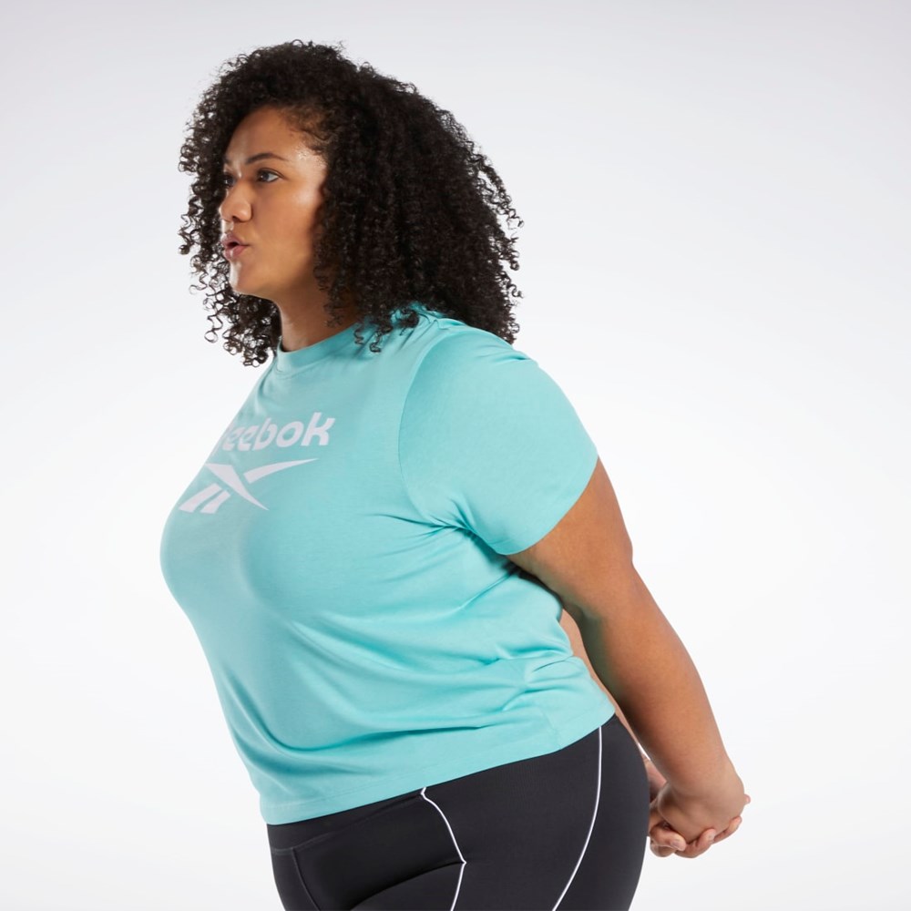 Reebok Reebok Identity T-Shirt (Plus Size) Semi Classic Teal | TCZ764205