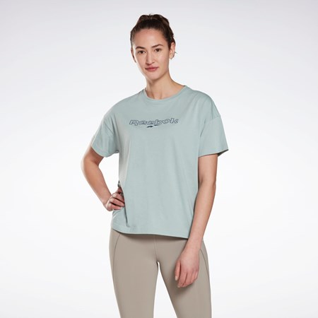 Reebok Brand T-Shirt Grå | VZD153864