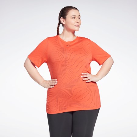 Reebok Burnout T-Shirt (Plus Size) Rød | JZA409235