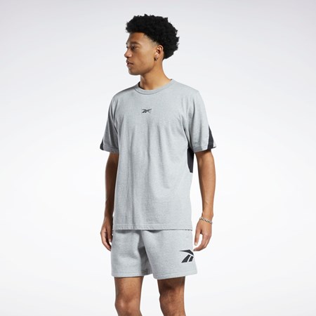 Reebok Classics Brand Proud T-Shirt Grå | UWE398062