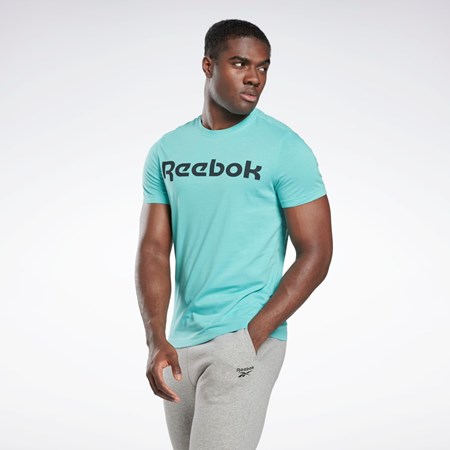 Reebok Grafisk Series Linear Logo Tee Semi Classic Teal | FIN942517