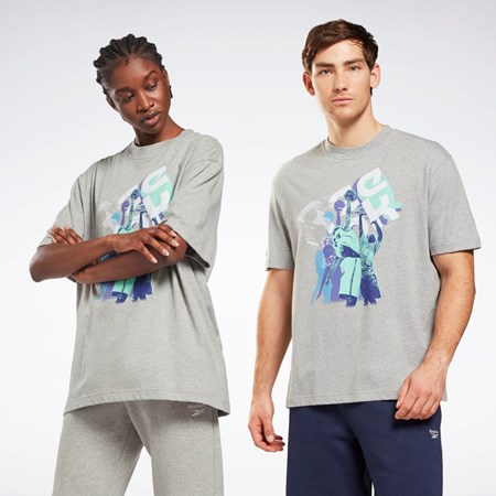 Reebok Grafisk Series T-Shirt Grå | VQO281043