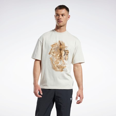 Reebok Jurassic World Fossil T-Shirt Stucco | NAV791042