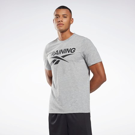 Reebok Reebok Grafisk Series T-Shirt Grå | TCE516027