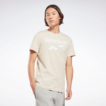 Reebok Reebok Identity Big Logo T-Shirt Stucco | HNM419378