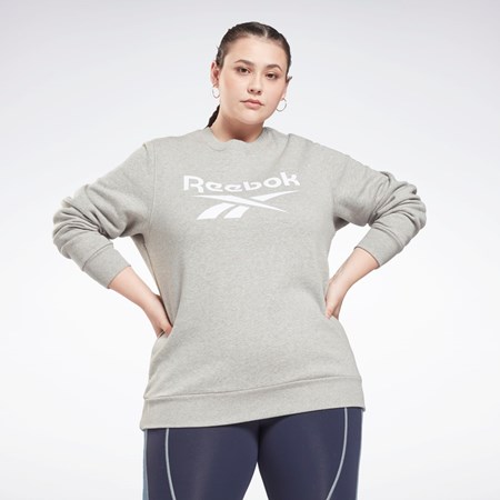 Reebok Reebok Identity Logo Fleece Crew Sweatshirt (Plus Size) Grå | GPK812057