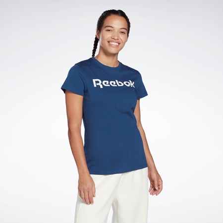 Reebok Trænings Essentials Grafisk Tee Blå | OTF854197