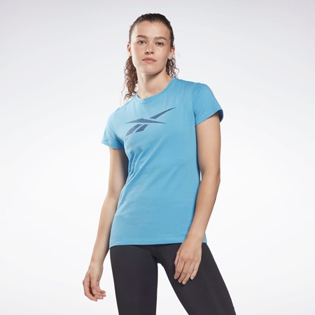 Reebok Trænings Essentials Vector Grafisk Tee Blå | REX270169