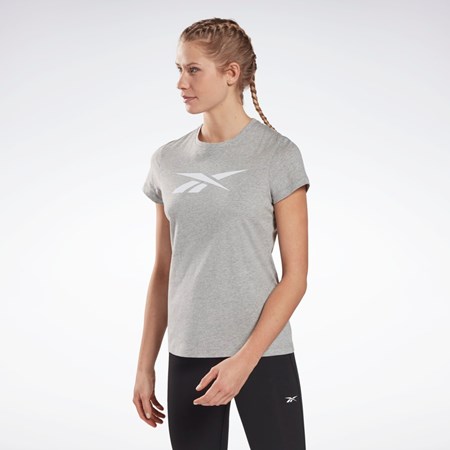 Reebok Trænings Essentials Vector Grafisk Tee Grå | XLU280371