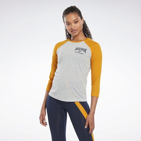 Reebok Workout Ready Baseball T-Shirt Lysegrå | NUI902374