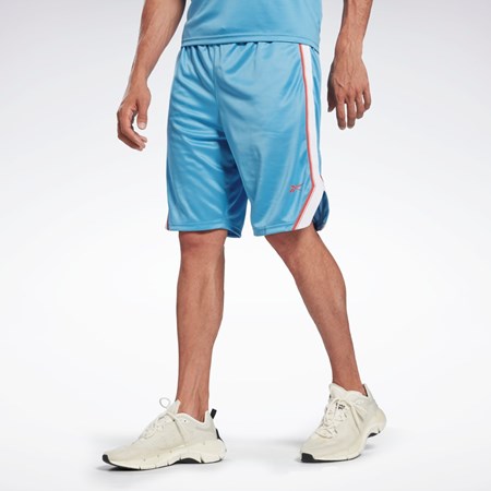 Reebok Workout Ready Mesh Shorts Blå | LXJ196470